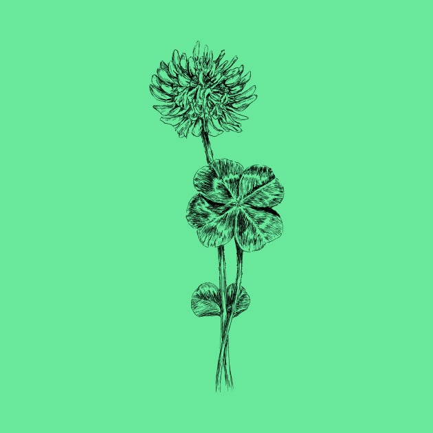 Four leaf clover print by rachelsfinelines