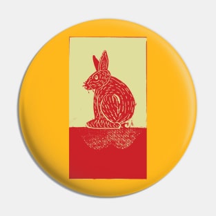 Rabbit in the Sun Pin