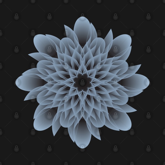 Beautiful and Artistic Grey Flower by Steady Eyes