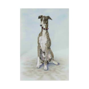 Gorgeous greyhound! T-Shirt