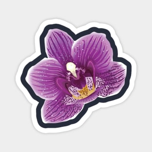 Orchid Flower Magnet