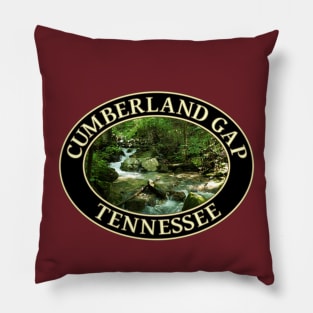 Mountain Stream in Cumberland Gap, Tennessee Pillow