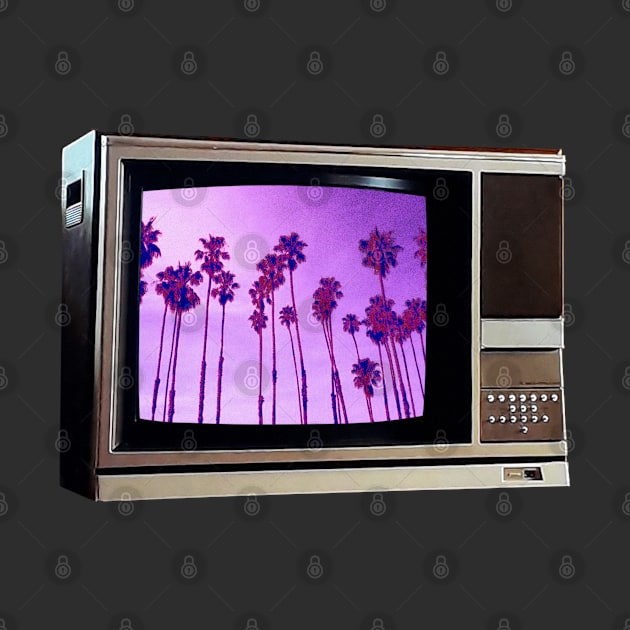 TV SET / Cabrillo PALMS #3 by RickTurner