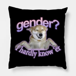 Gender I Hardly Know Er Meme Pillow