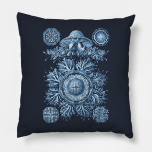 Ernst Haeckel Discomedusae Jellyfish Plate 28 Blue Pillow