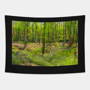 Bluebell Woodland Tapestry