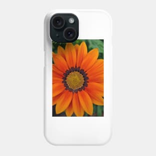 Orange Gazania African Daisies Summer Flower Phone Case