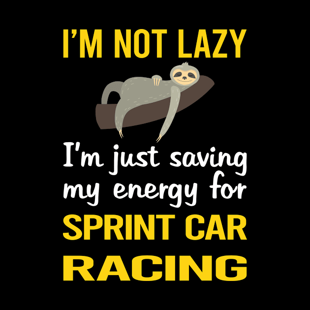 Funny Lazy Sprint Car Cars Racing by relativeshrimp