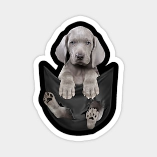 weimaraner dog lover Magnet