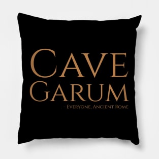 Cave Garum - Funny Latin Phrase - Ancient Roman Food - Fish Sauce Pillow