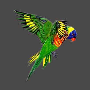 Rainbow Lorikeet T-Shirt