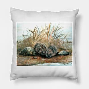 HEDGEHOGS IN DEVON UK Pillow