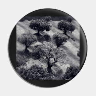 Olive Trees Pin