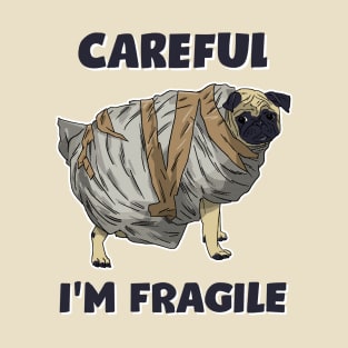 Careful, I'm Fragile T-Shirt