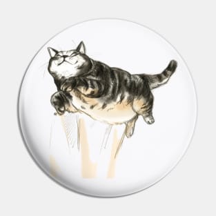 Solar-Powered Chonk Pin