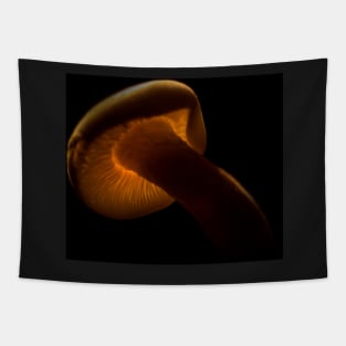 Mushroom Macro Glow Tapestry