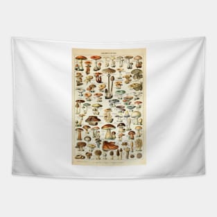 Champignon I Vintage French Mushroom Chart by Adolphe Millot Tapestry