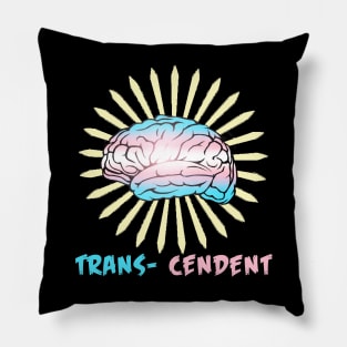 Trans-cendent Pillow