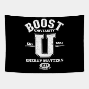Boost University v2 White Tapestry