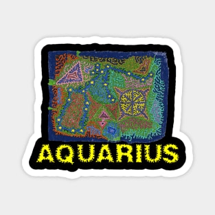 Constellation Aquarius Magnet