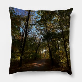 Beautiful Fall Wooded Trail Scene with a Pond - Indian Creek Trail Kansas City Pillow