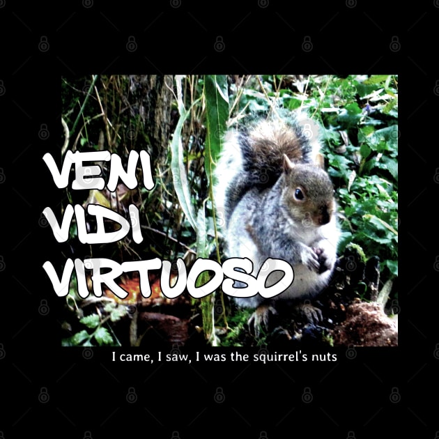 Veni Vidi Virtuoso - I came, I saw, I was the squirrel’s nuts by soitwouldseem