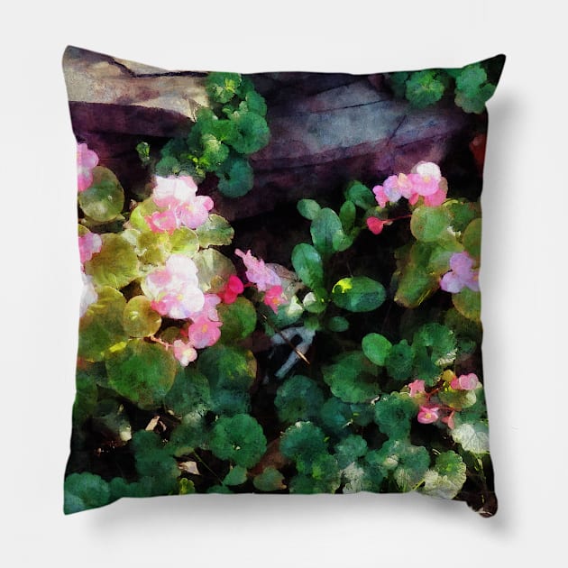 Begonias By Stone Wall Pillow by SusanSavad