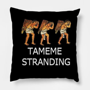 TAMEME STRANDING Pillow