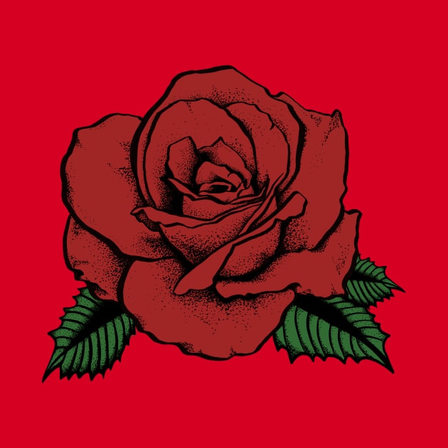 red rose by somatosis