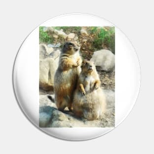 Prairie Dog Formal Portraits Pin