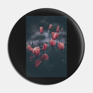 California poppies pink filters Pin