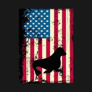 Seal American Flag USA Patriotic 4th Of July Gifts T-Shirt