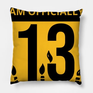 13th Birthday Officially a Quaranteen 13 Years Old Pillow