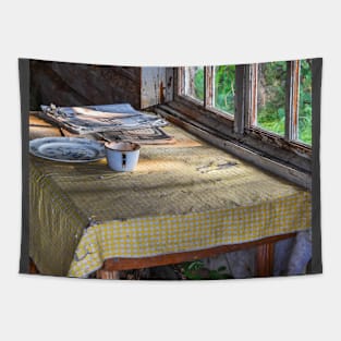 USA. Alaska. Chena Village. Abandoned Cabin. Interior. Tapestry