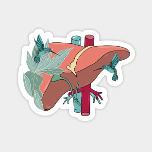 Medicine Design Liver Magnet