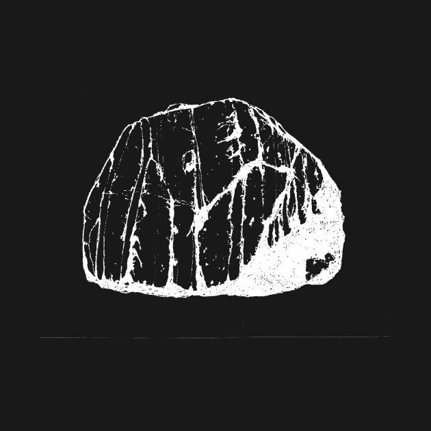 Suiseki Stone by HRNDZ