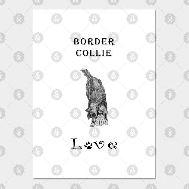 Border Collie Love Pencil Drawing Of Border Collie Border