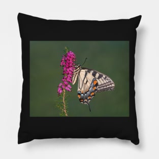 Tiger Swallowtail Butterfly on heather Pillow