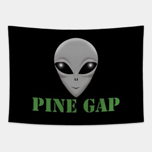 Pine Gap Tapestry