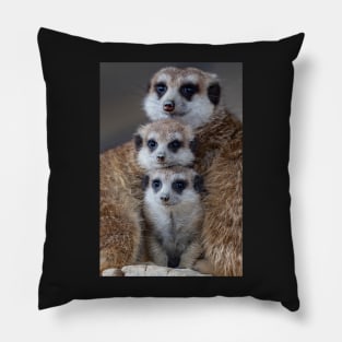 Three Faces Pillow