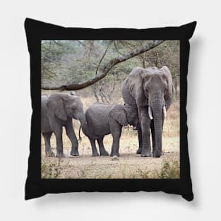 African Elephants, Serengeti National Park, Tanzania. Pillow