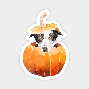 Pumpkin Puppy Magnet