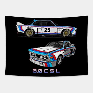 30 csl style Tapestry