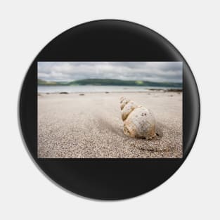 Shell on Lady Bay Beach Photograph Dumfries and Galloway Pin