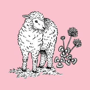 A Sheep With a Clover T-Shirt