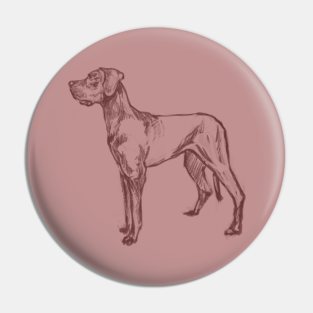 cute great dane Pin