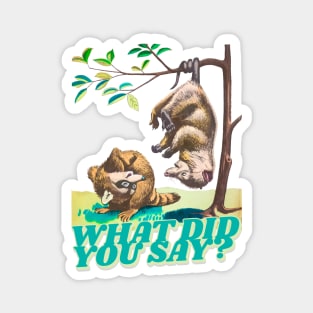 What did you say? Raccoon Retro Vintage Magnet