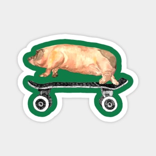 Tony Pig Loves to Skate! Magnet