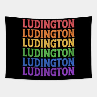 LUDINGTON COLORFUL CITY Tapestry