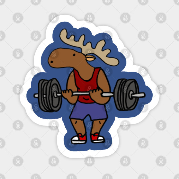 Funny Moose Lifting Weights Cartoon Weightlifting Sticker Teepublic Au